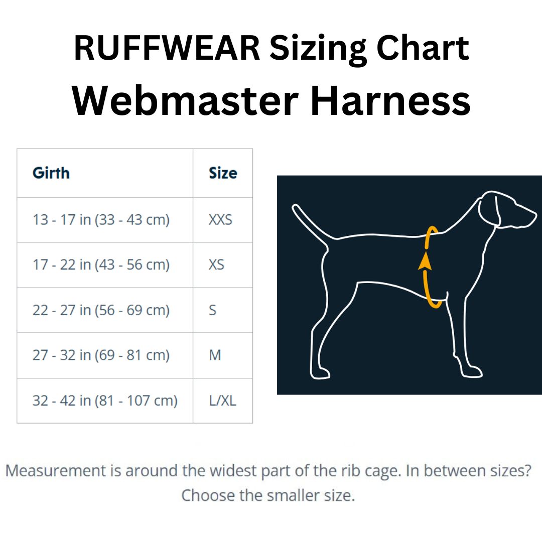 Webmaster Size Chart